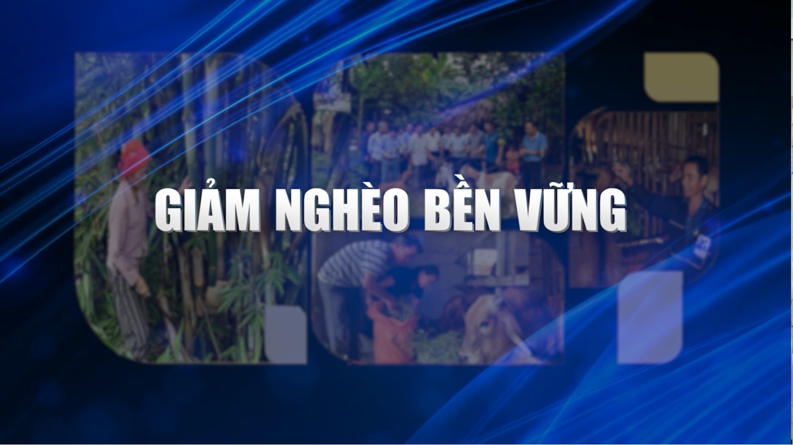 Giảm nghèo bền vững (24.11.2024)